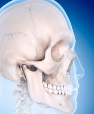 skull